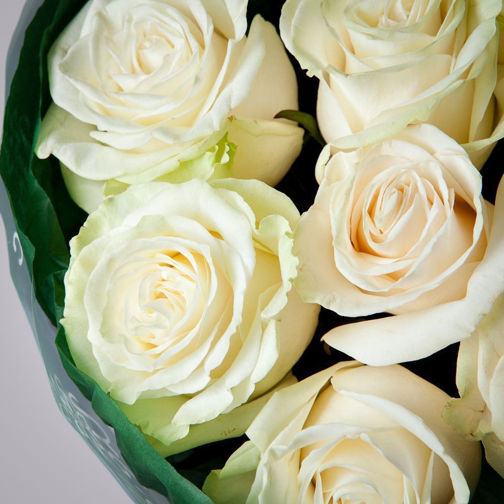 монобукет 9 роз "mondial" в зеленой упаковке с тишью 