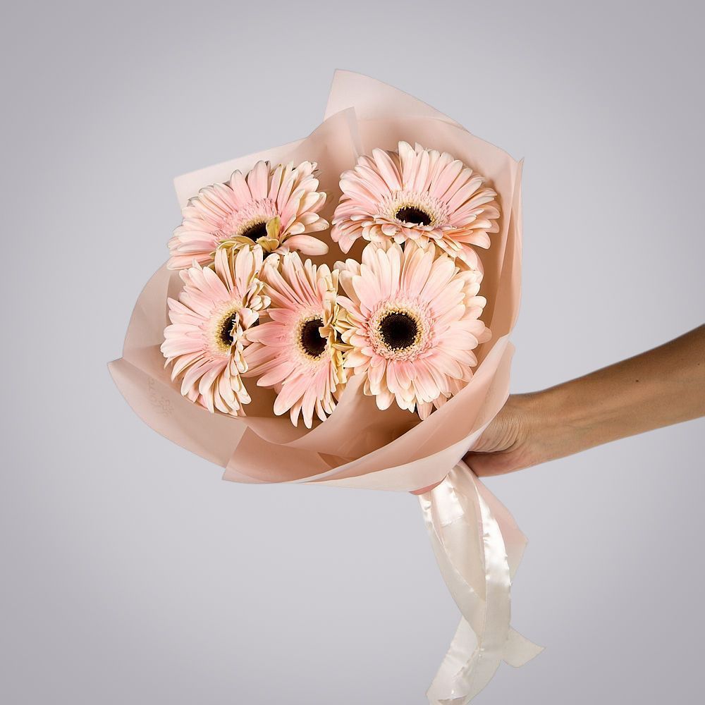 монобукет из 5 гербер моно 