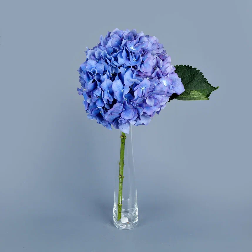 ваза m стекло с голубой гортензией 