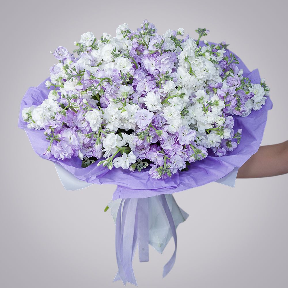 монобукет маттиола сиренево-белая 29 шт 