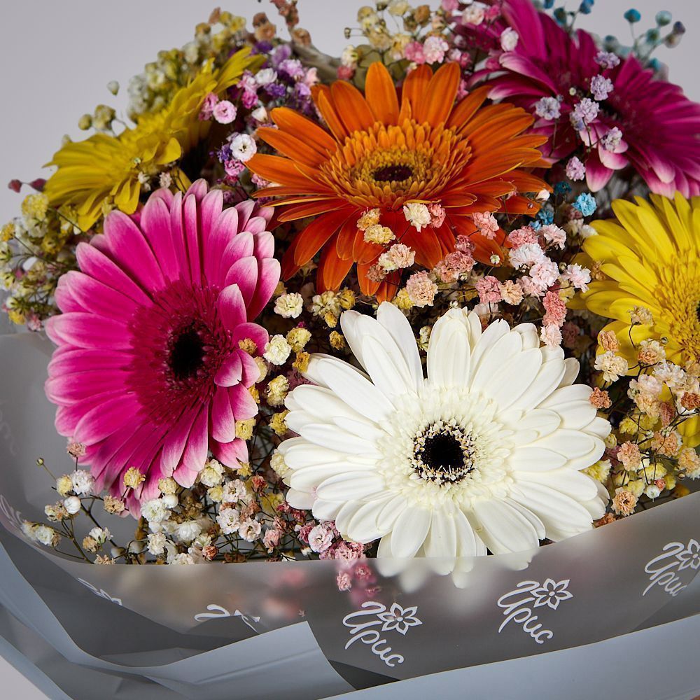 монобукет из 7 гербер с гипсофилой  