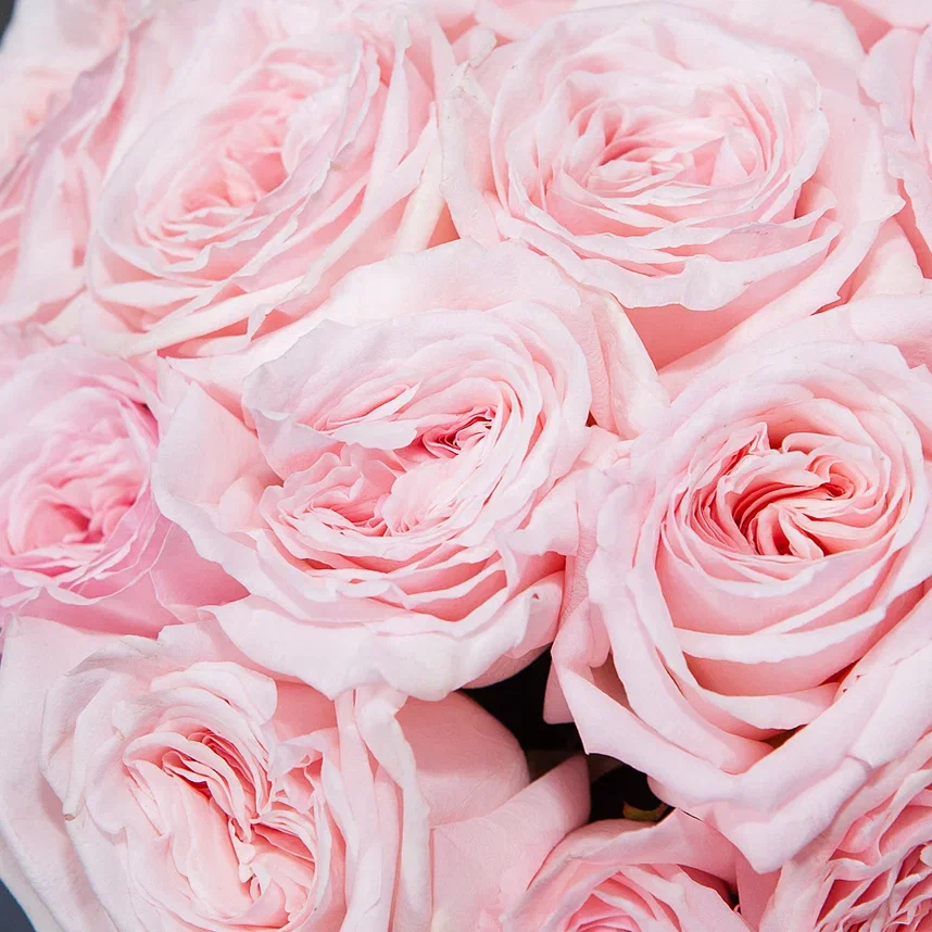 монобукет 17 роз "pink o`hara" под ленту 