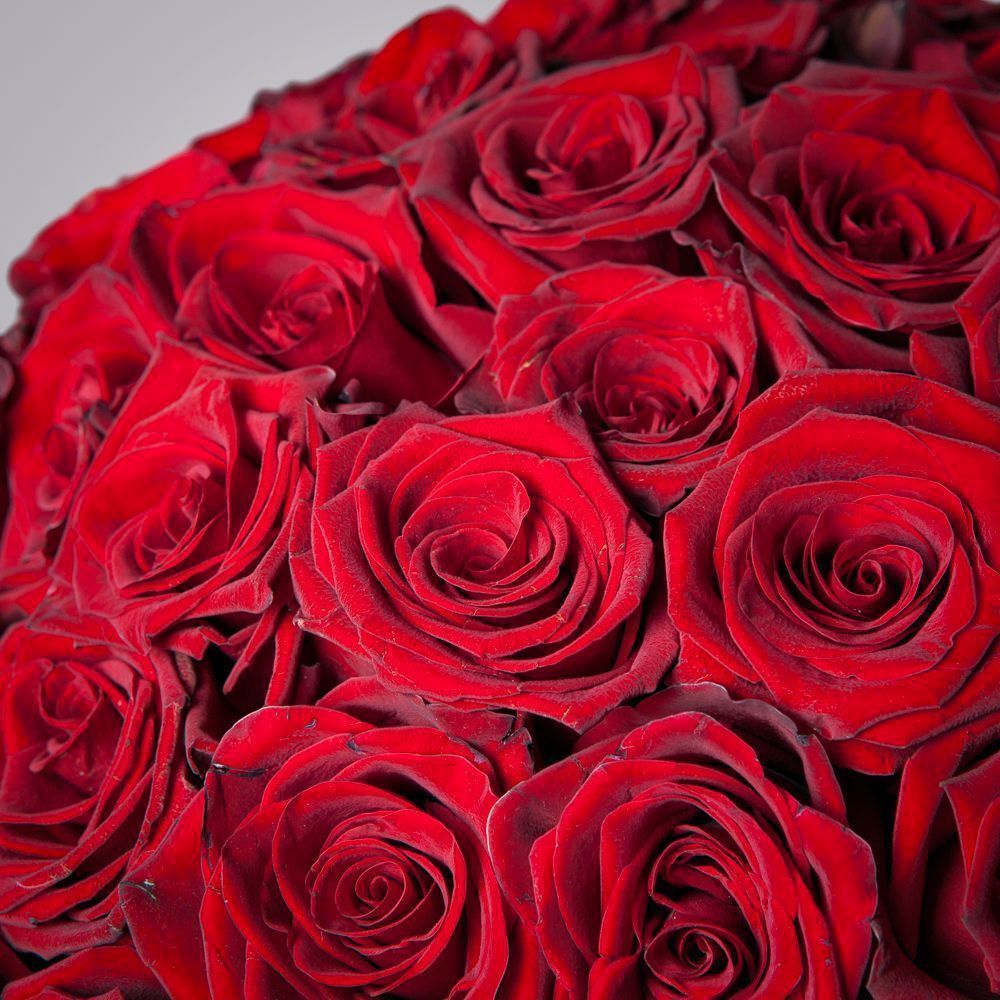 монобукет из 75 роз "explorer" под ленту 