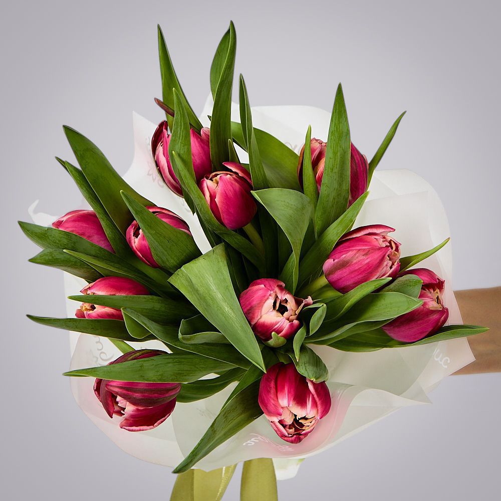 монобукет из 11 тюльпанов "каламбус" в упаковке 