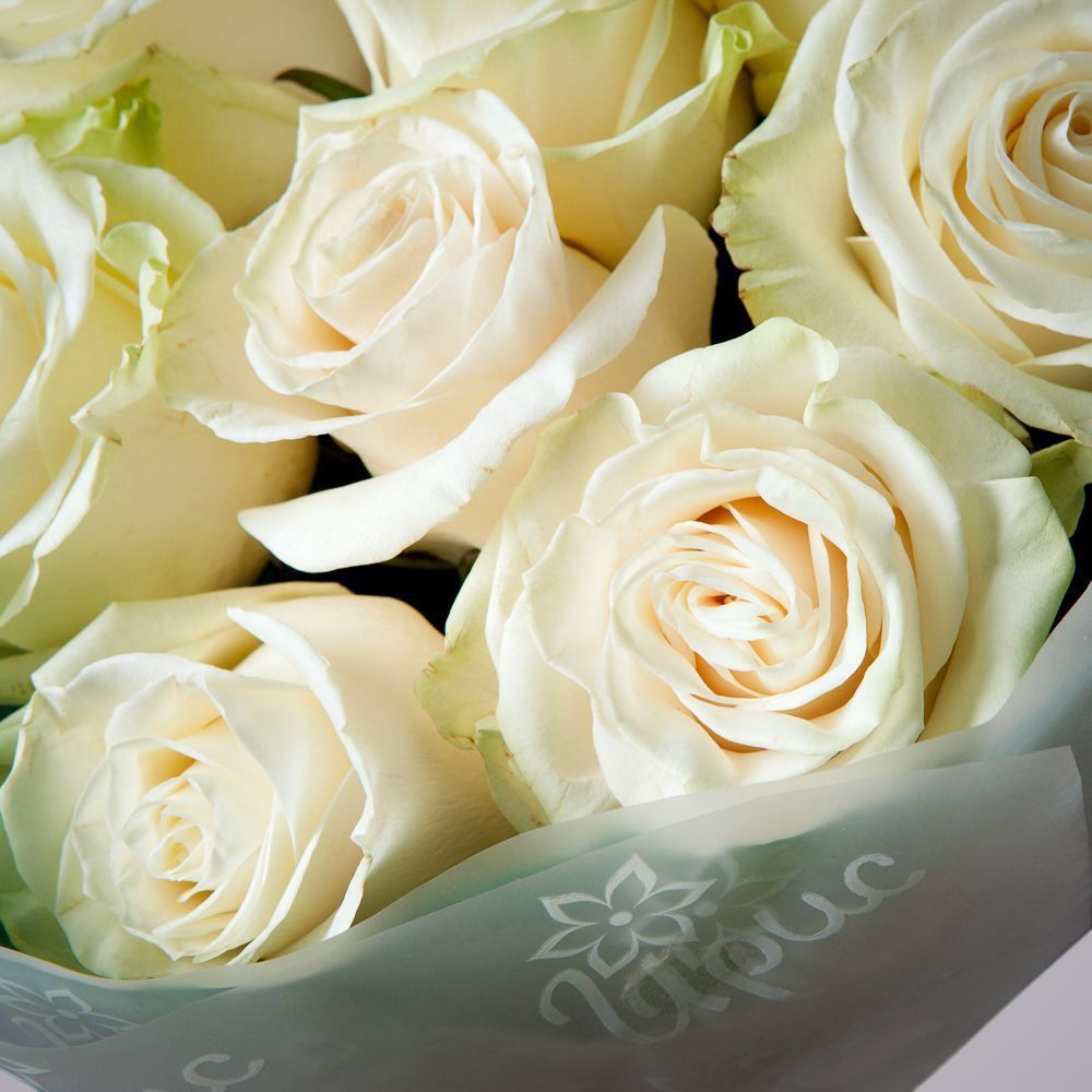 монобукет 9 роз "mondial" в зеленой упаковке с тишью 