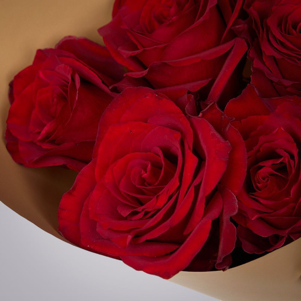 монобукет из 5 роз "explorer" в упаковке 