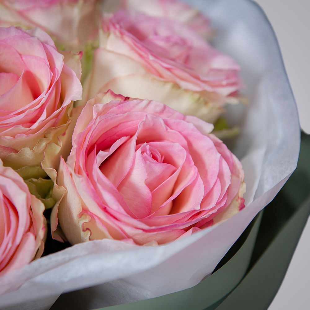 монобукет 11 роз «esperance» в упаковке с тишью  монобукет 11 роз «esperance» в упаковке с тишью