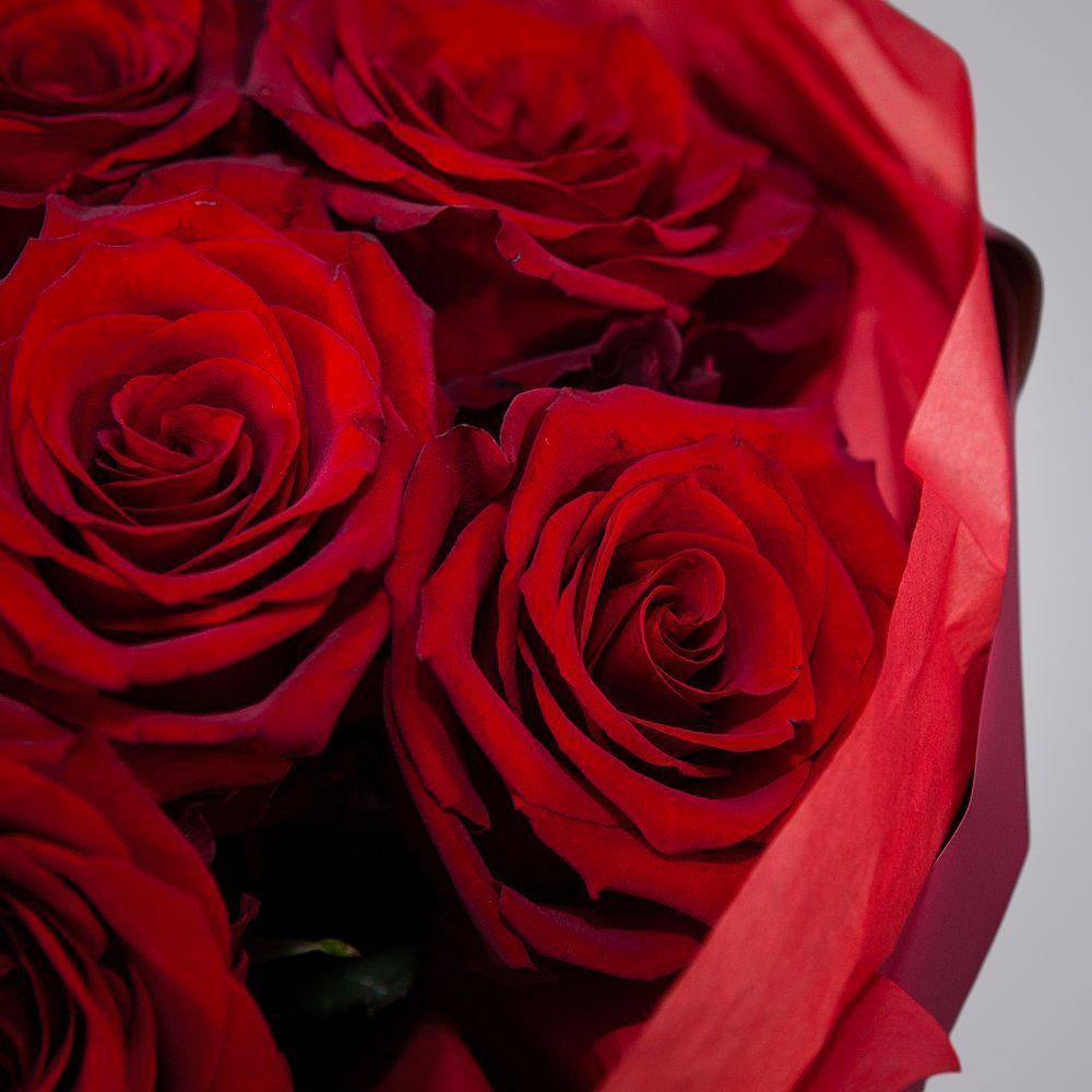 монобукет 9 роз "explorer" в упаковке с тишью 