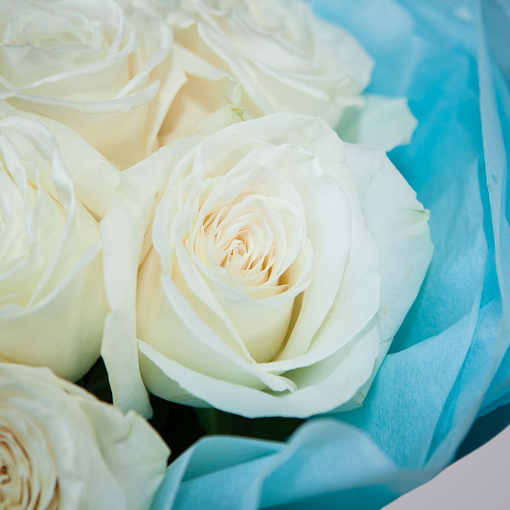 монобукет 9 пионовидных роз "playa blanca" в упаковке с тишью 