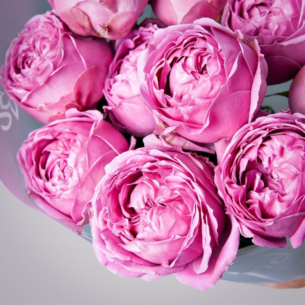 монобукет 3 кустовых роз misty bubbles в упаковке 