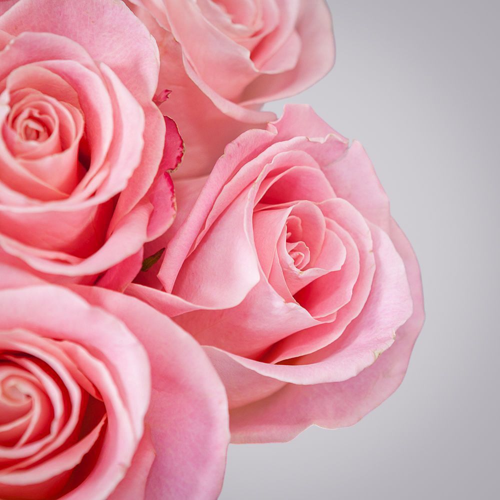 монобукет из 11 роз "hermosa" под ленту 