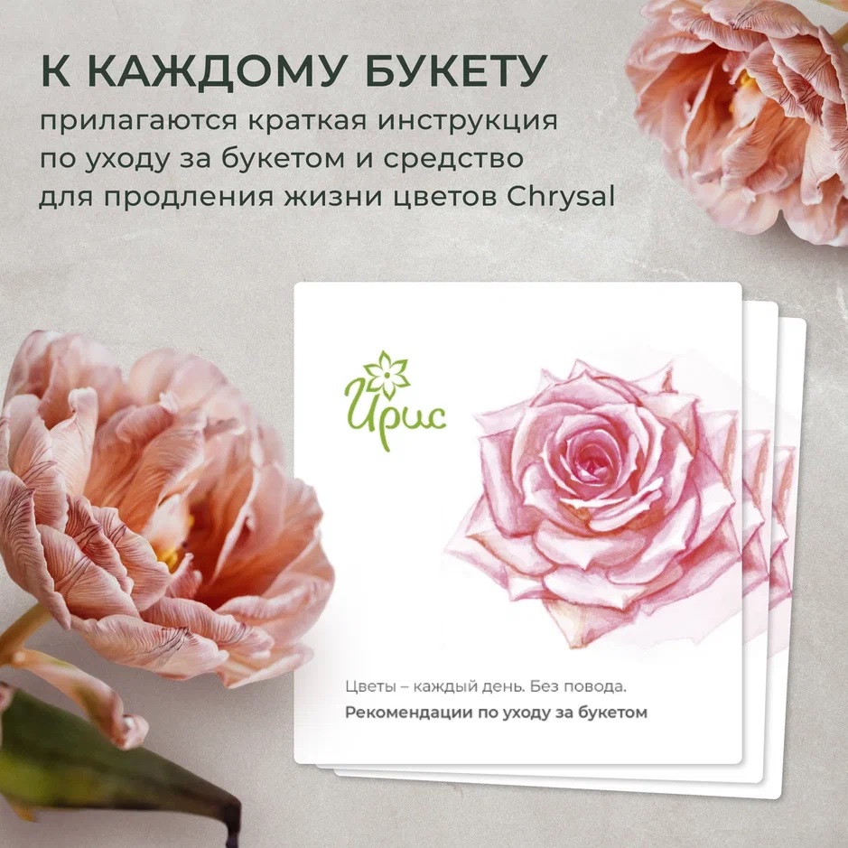 монобукет из 9 розовых кустовых хризантем 