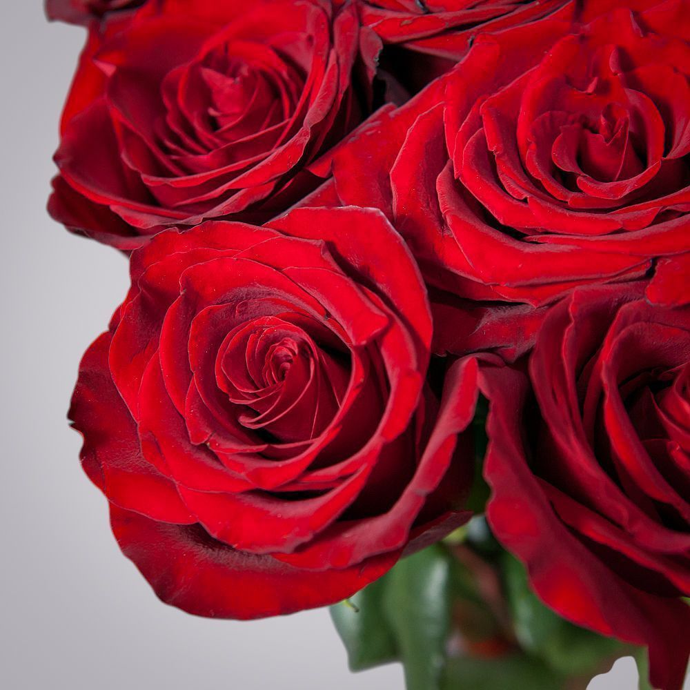 монобукет 11 роз explorer под ленту 