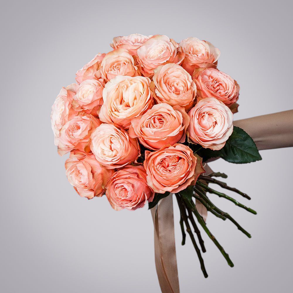 монобукет 17 пионовидных роз "kahala" под ленту 