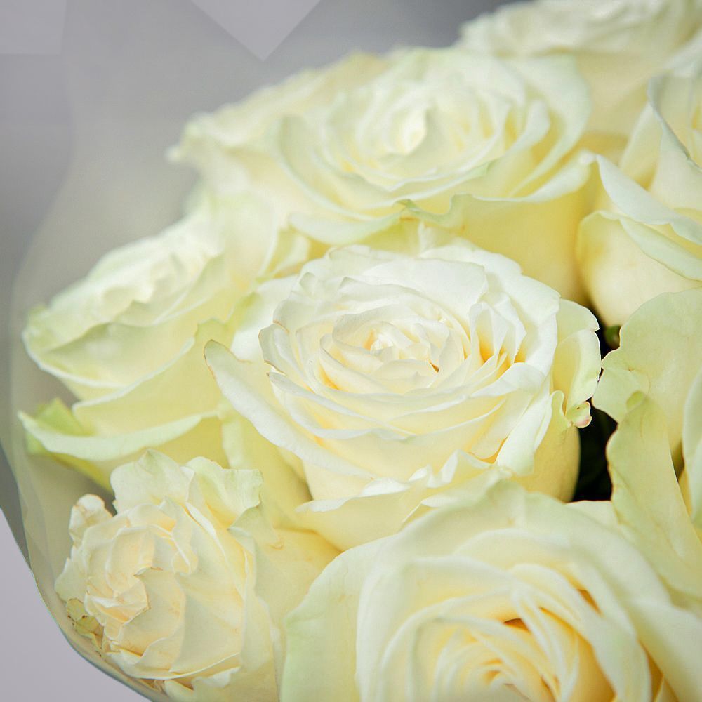 монобукет из 11 роз "mondial" в матовой пленке 