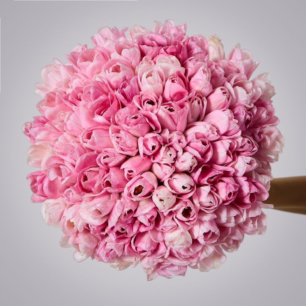 монобукет 101 розовый тюльпан под ленту  