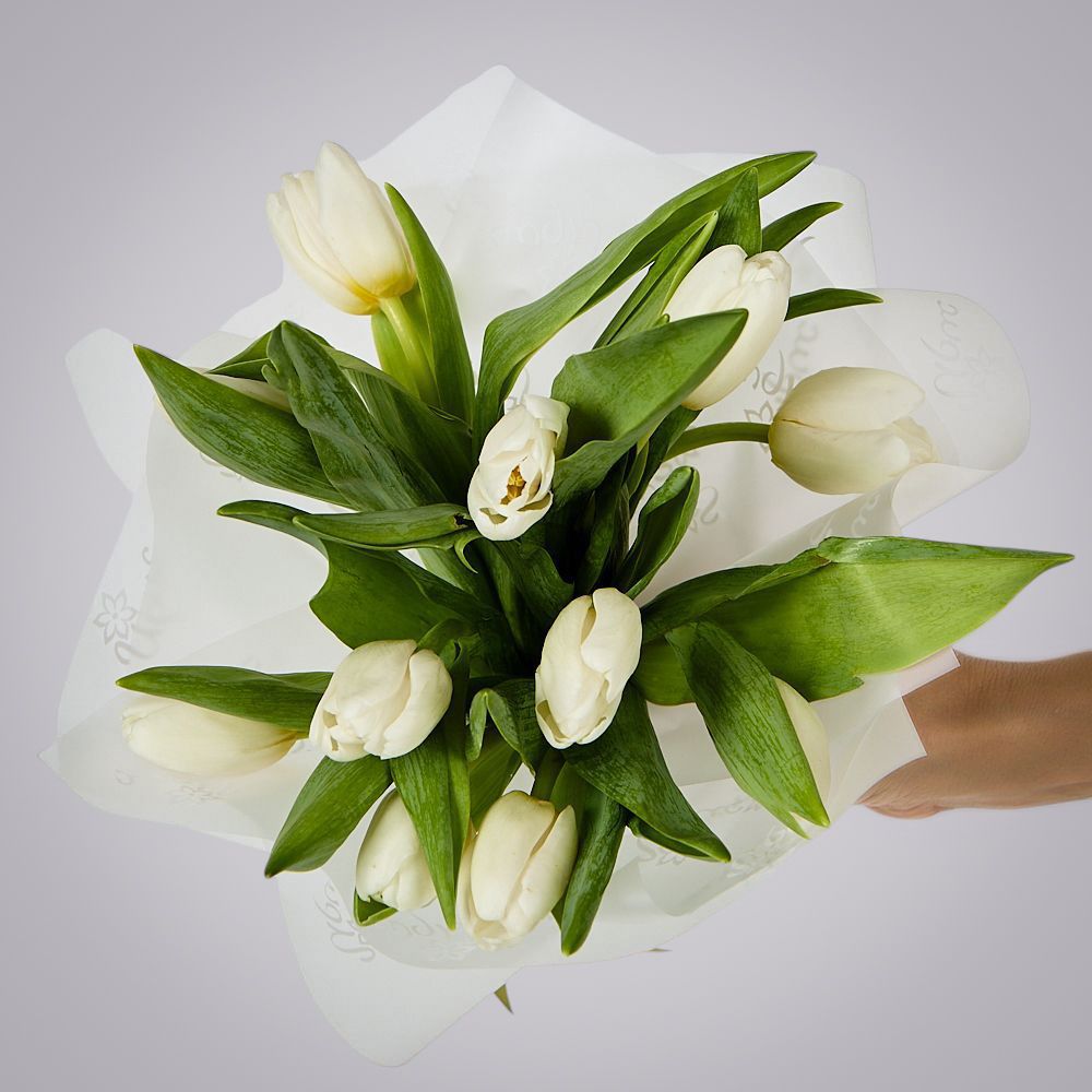 монобукет из 11 белых тюльпанов в упаковке 