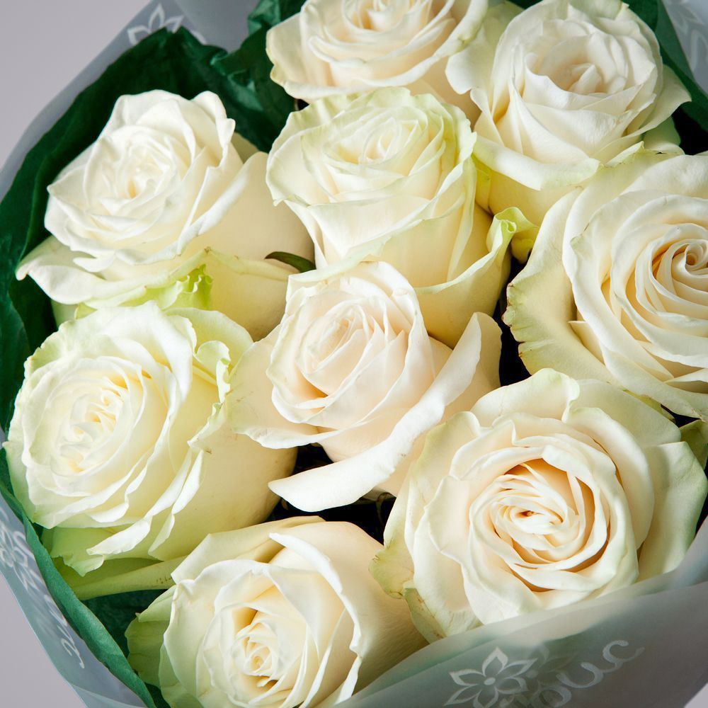 монобукет 9 роз "mondial" в зеленой упаковке с тишью 