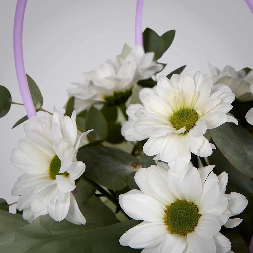 композиция “ромашковый сон” 