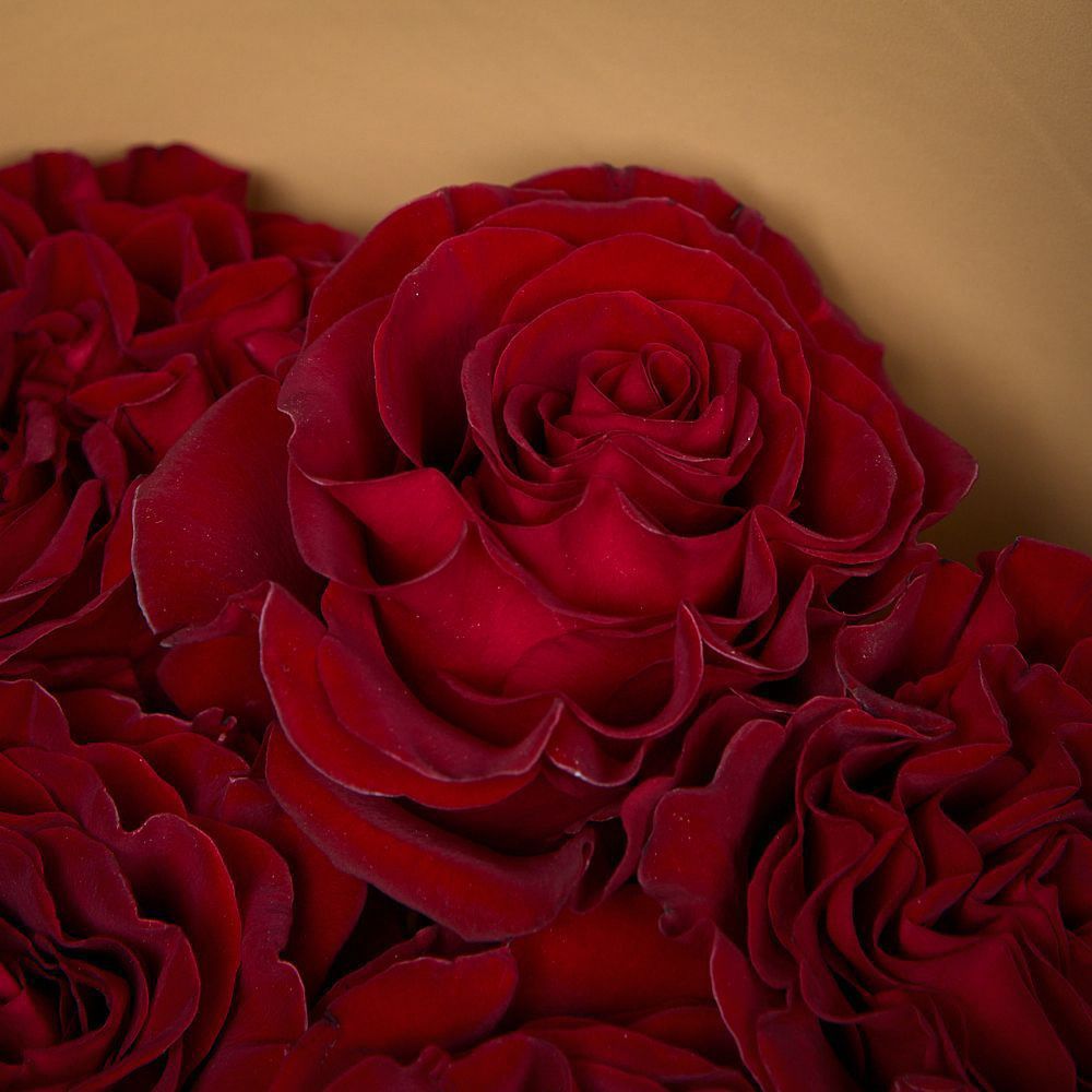 монобукет из 5 пионовидных роз "hearts" в упаковке 