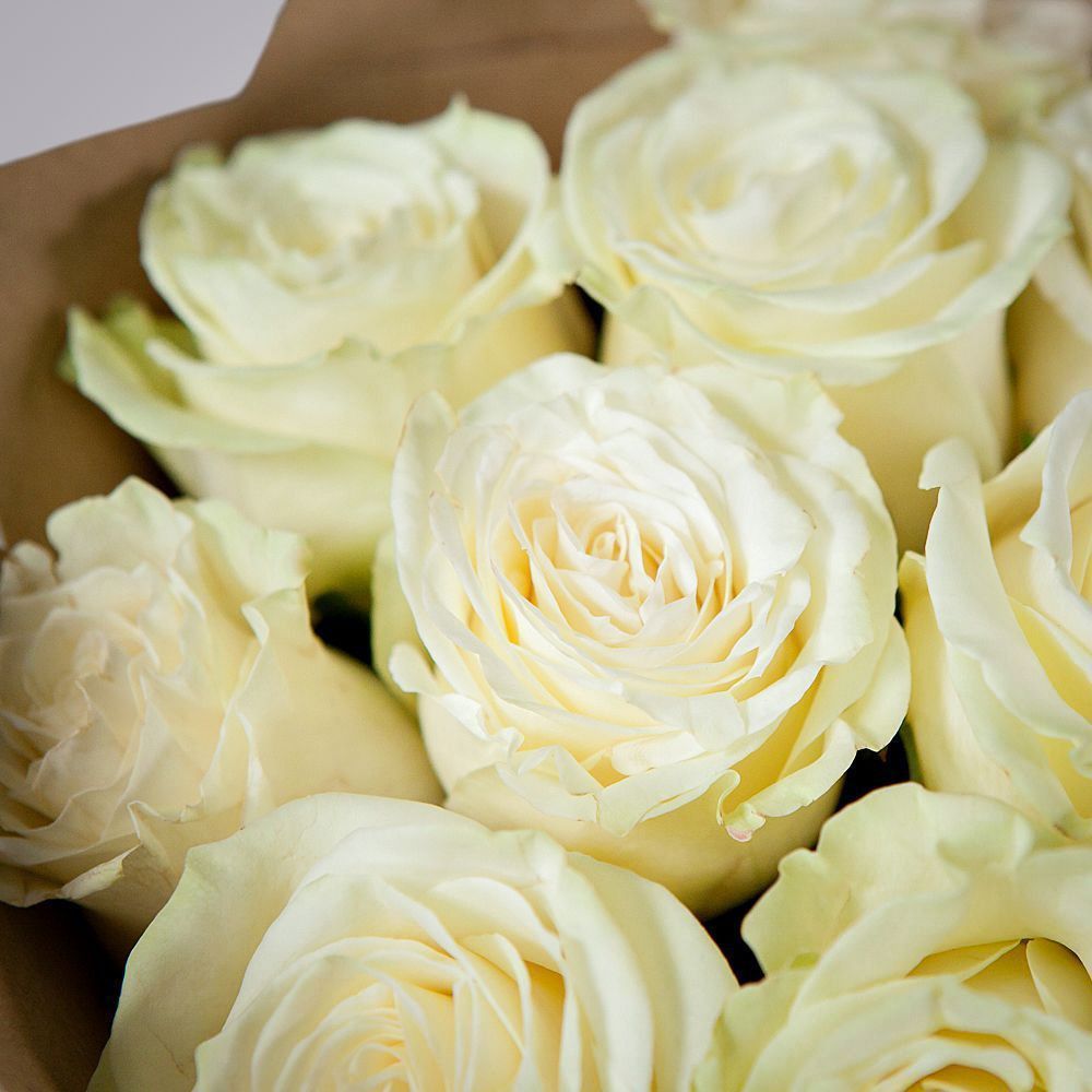 монобукет 11 роз mondial в крафте 