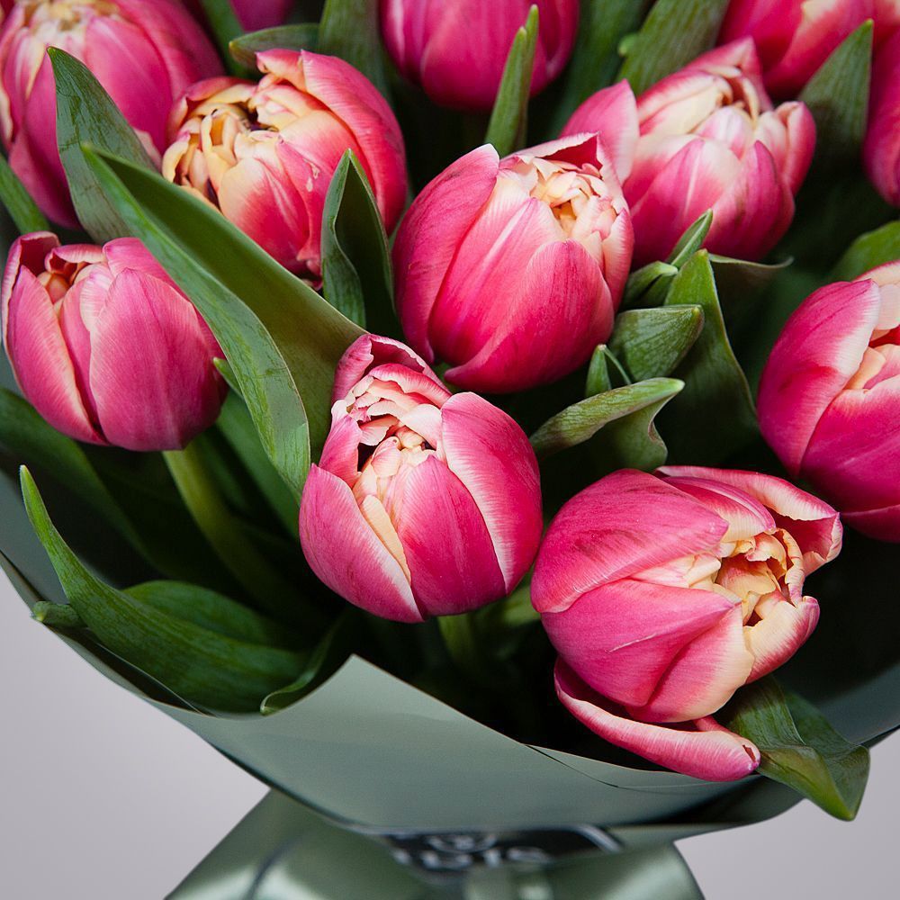 монобукет из 15 тюльпанов "каламбус" в упаковке 