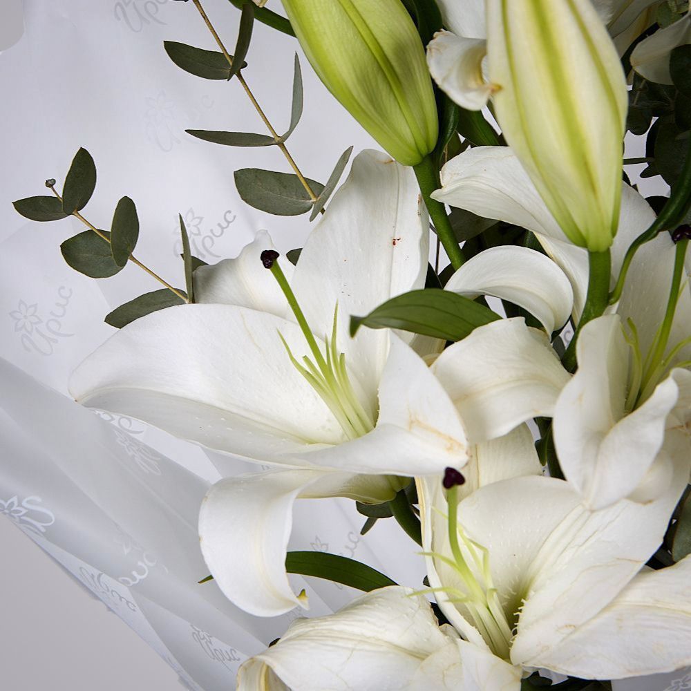 монобукет из белых лилий с эвкалиптом  