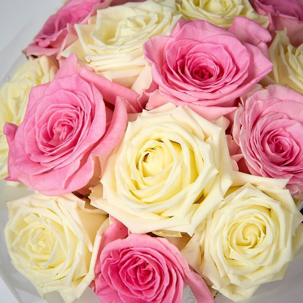 монобукет бело-розовый микс из 15 роз россия в упаковке 1  