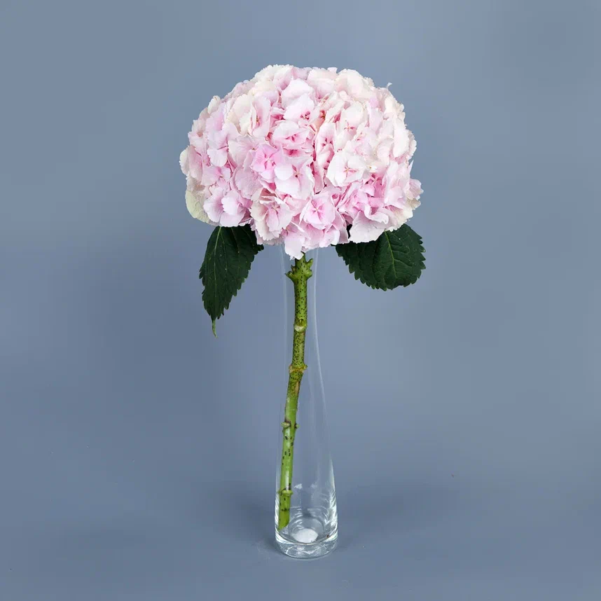 ваза m стекло с розовой гортензией 