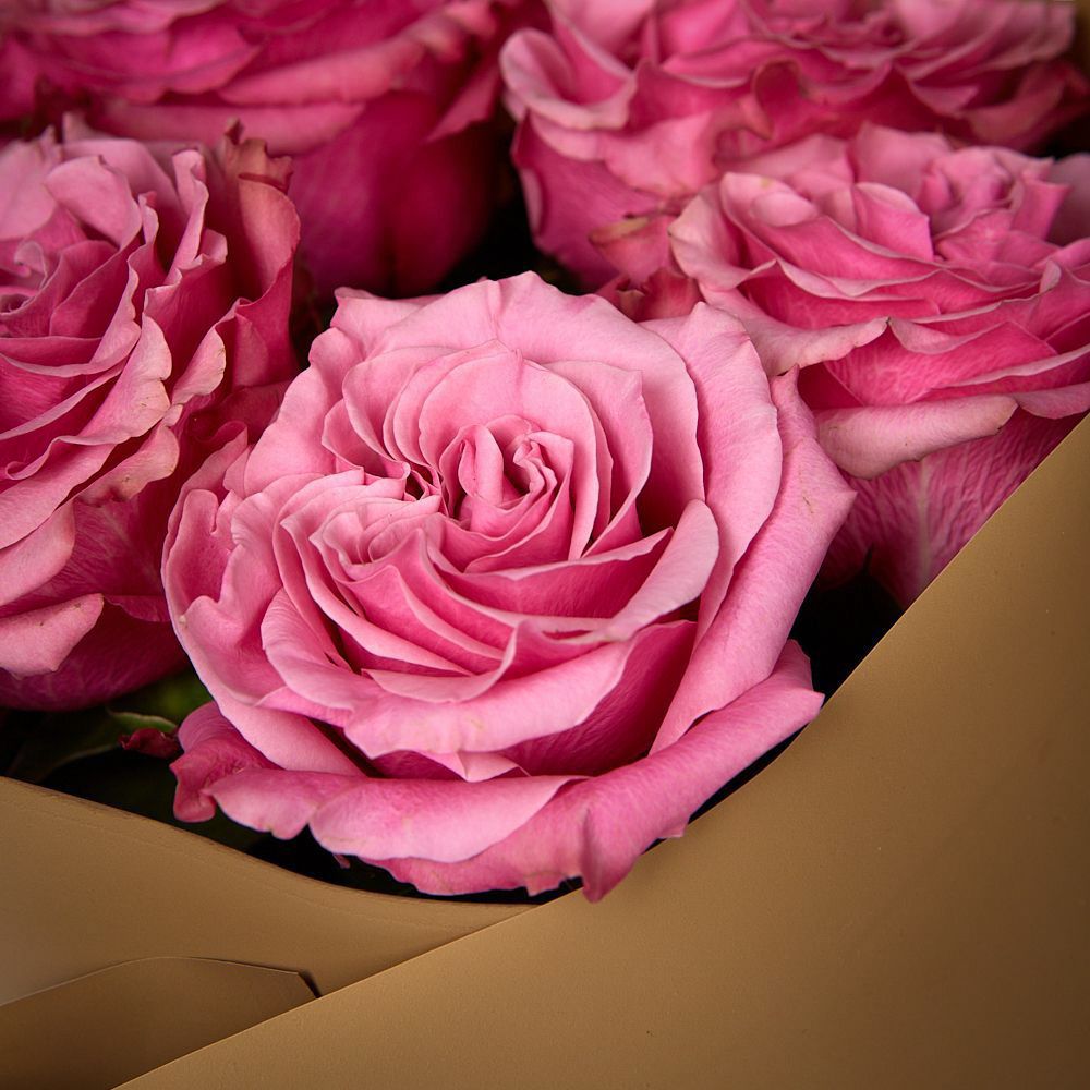 монобукет из 5 пионовидных роз “country blues” в упаковке 