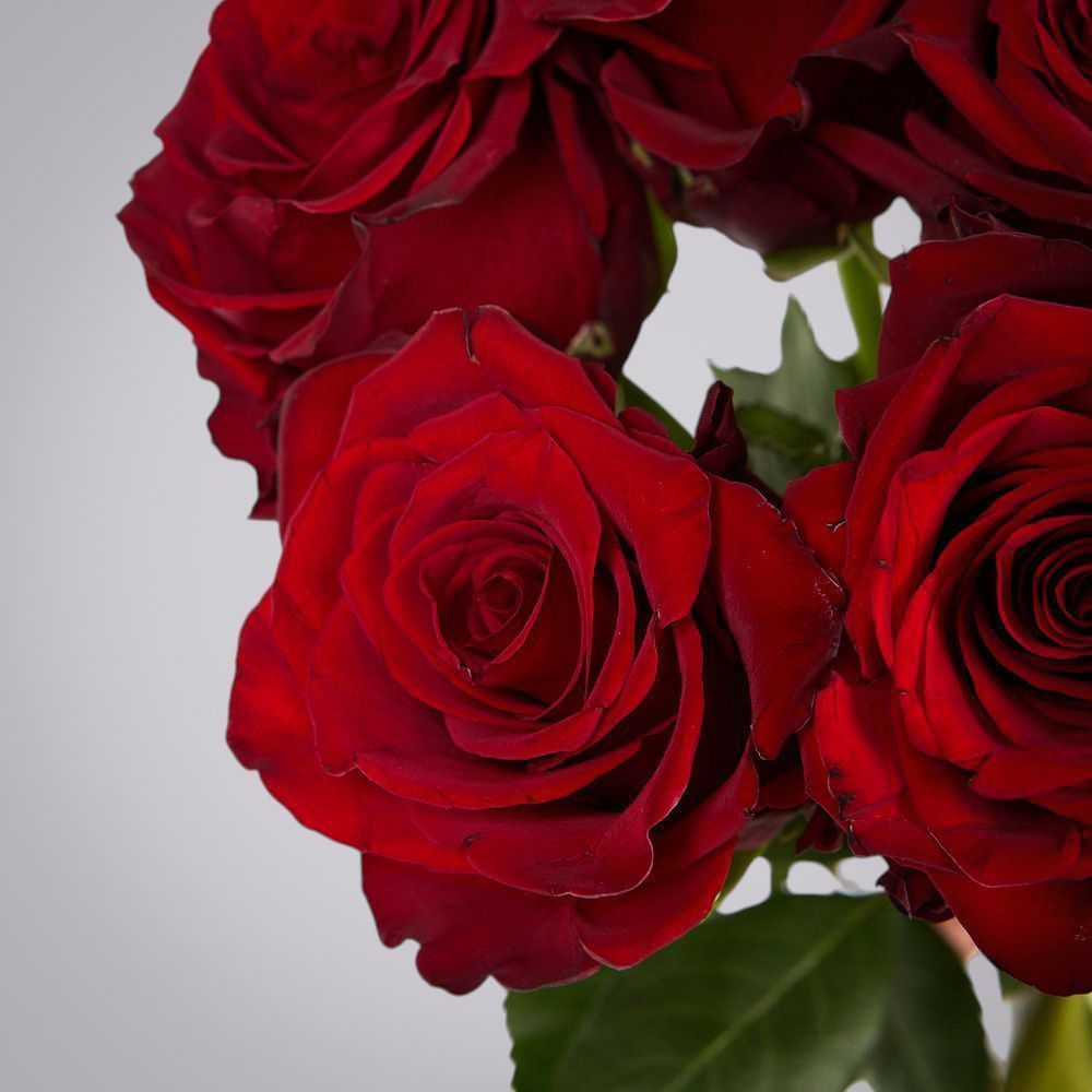 монобукет из 5 роз "explorer" под ленту 