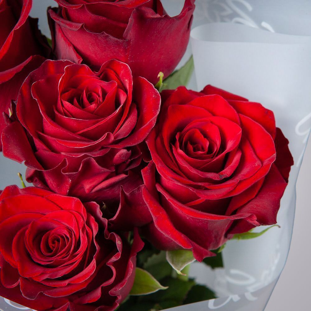 монобукет 5 роз "explorer" в упаковке 