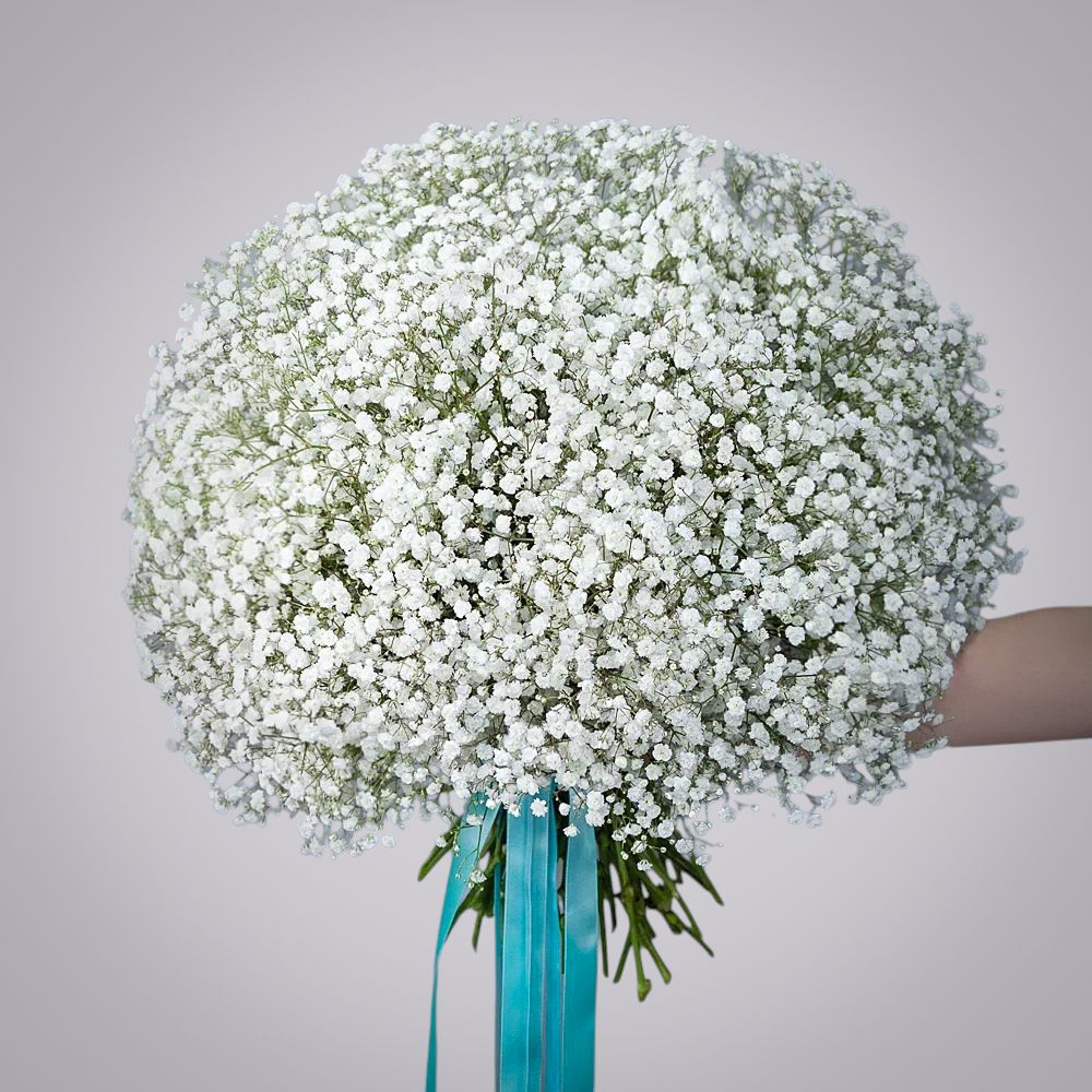 монобукет из 25 белых гипсофил 