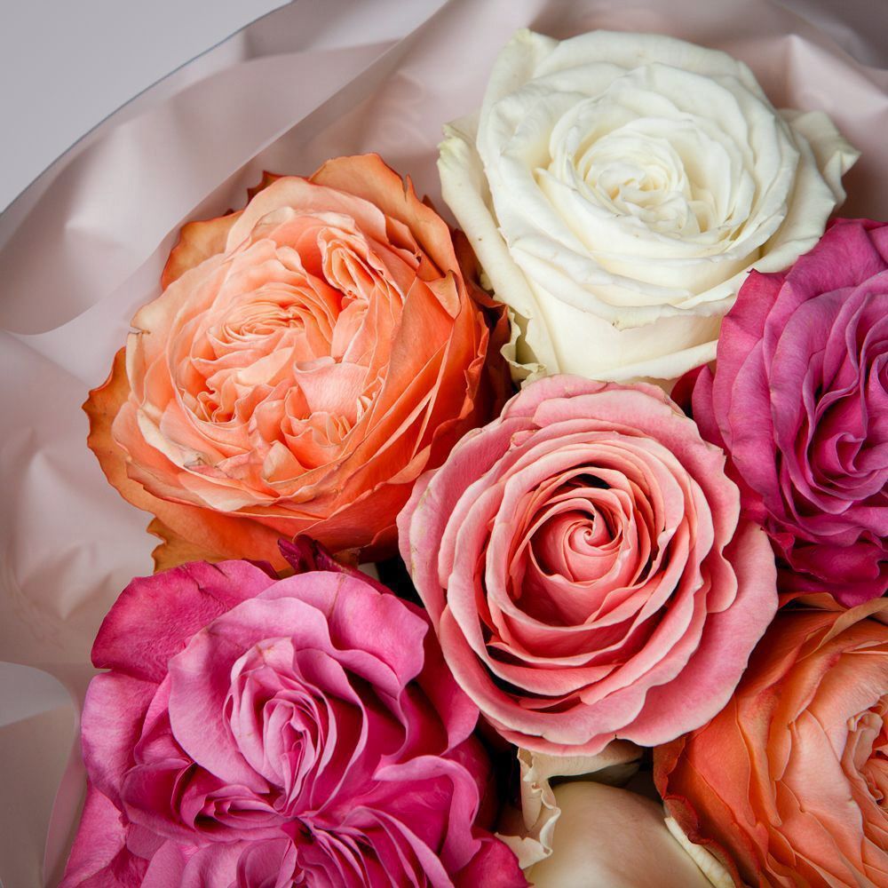 монобукет из 7 роз микс 1 