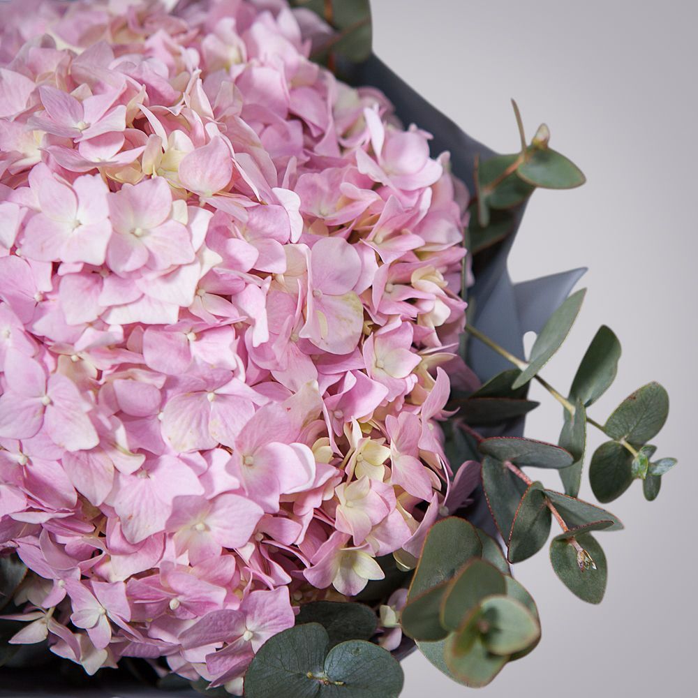 монобукет из нежных розовых гортензий 