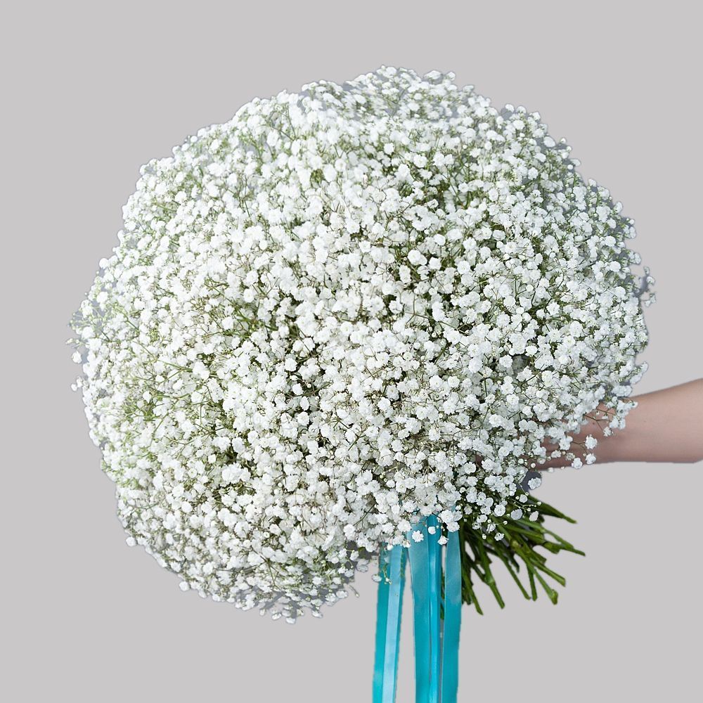 монобукет из 25 белых гипсофил 