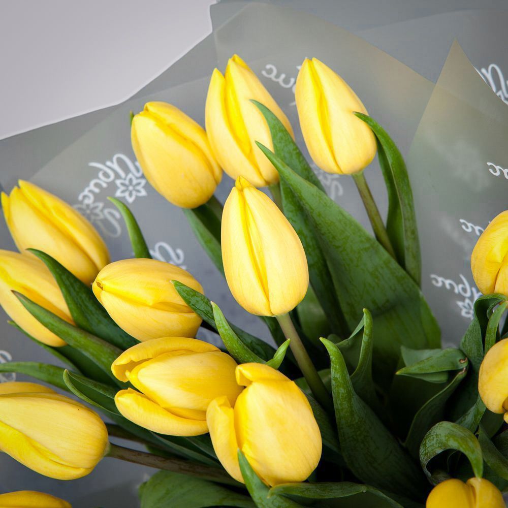 монобукет из 17 желтых тюльпанов в упаковке 