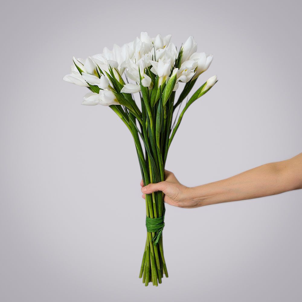 монобукет из 19 белых ирисов 