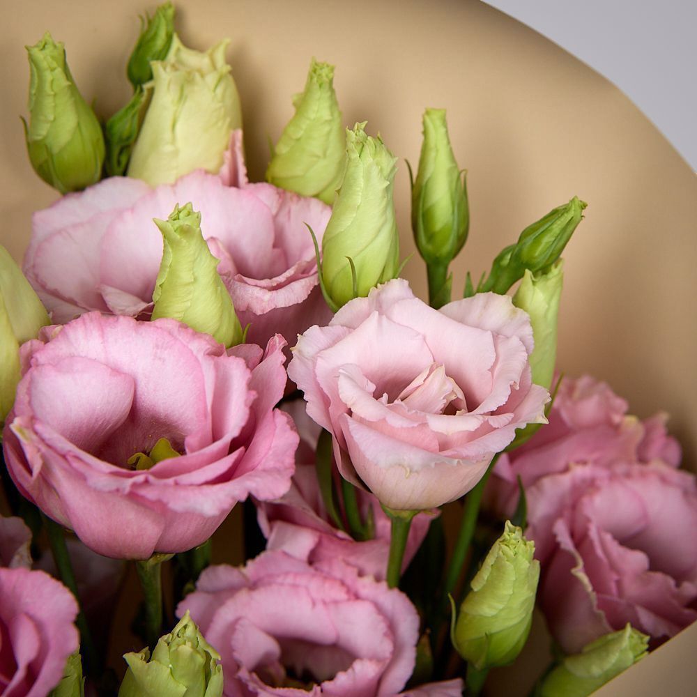 монобукет из 5 розовых лизиантусов в упаковке 