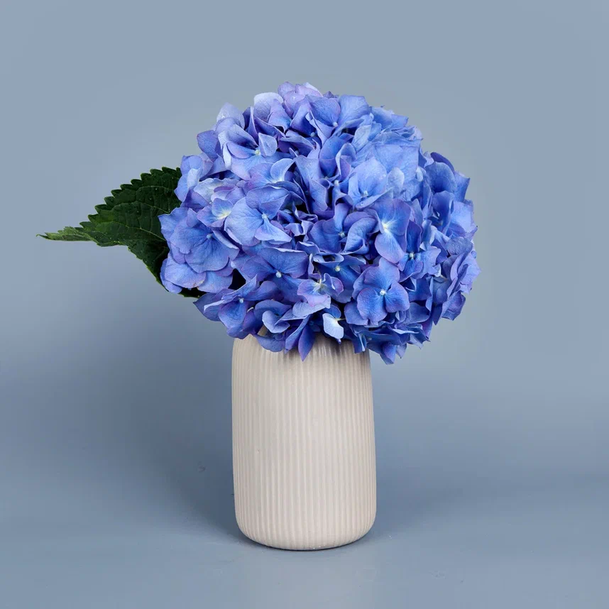 ваза m бежевая керамика с голубой гортензией 