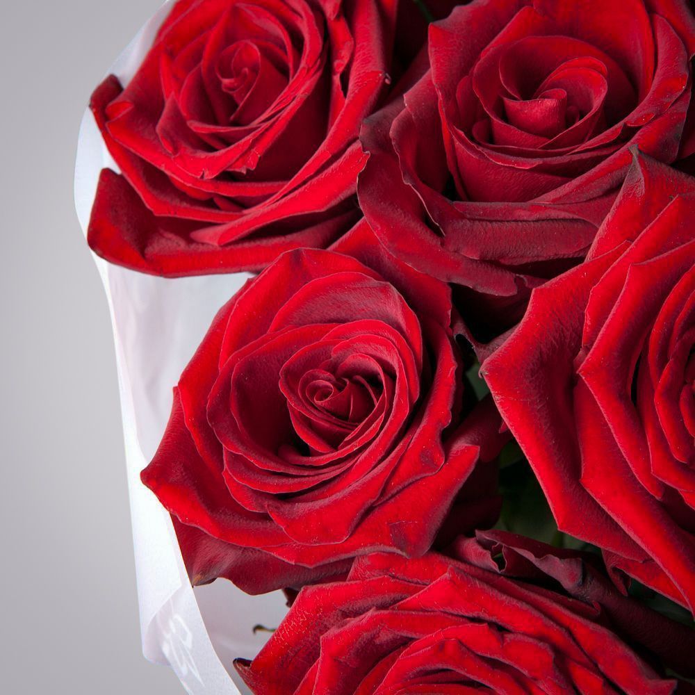 монобукет 9 роз "explorer" в упаковке с тишью 2 