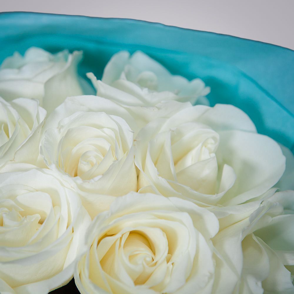 монобукет 11 роз "tibet" в упаковке с тишью 