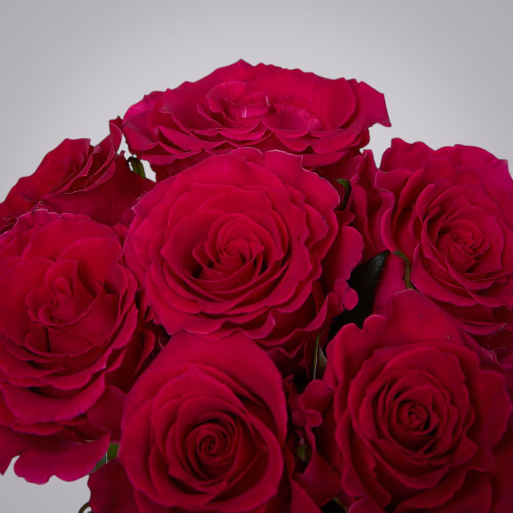 монобукет 9 роз "gotcha" под ленту 