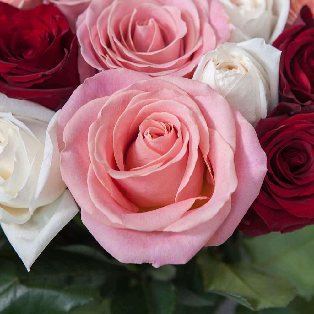 монобукет 51 роза микс под ленту 