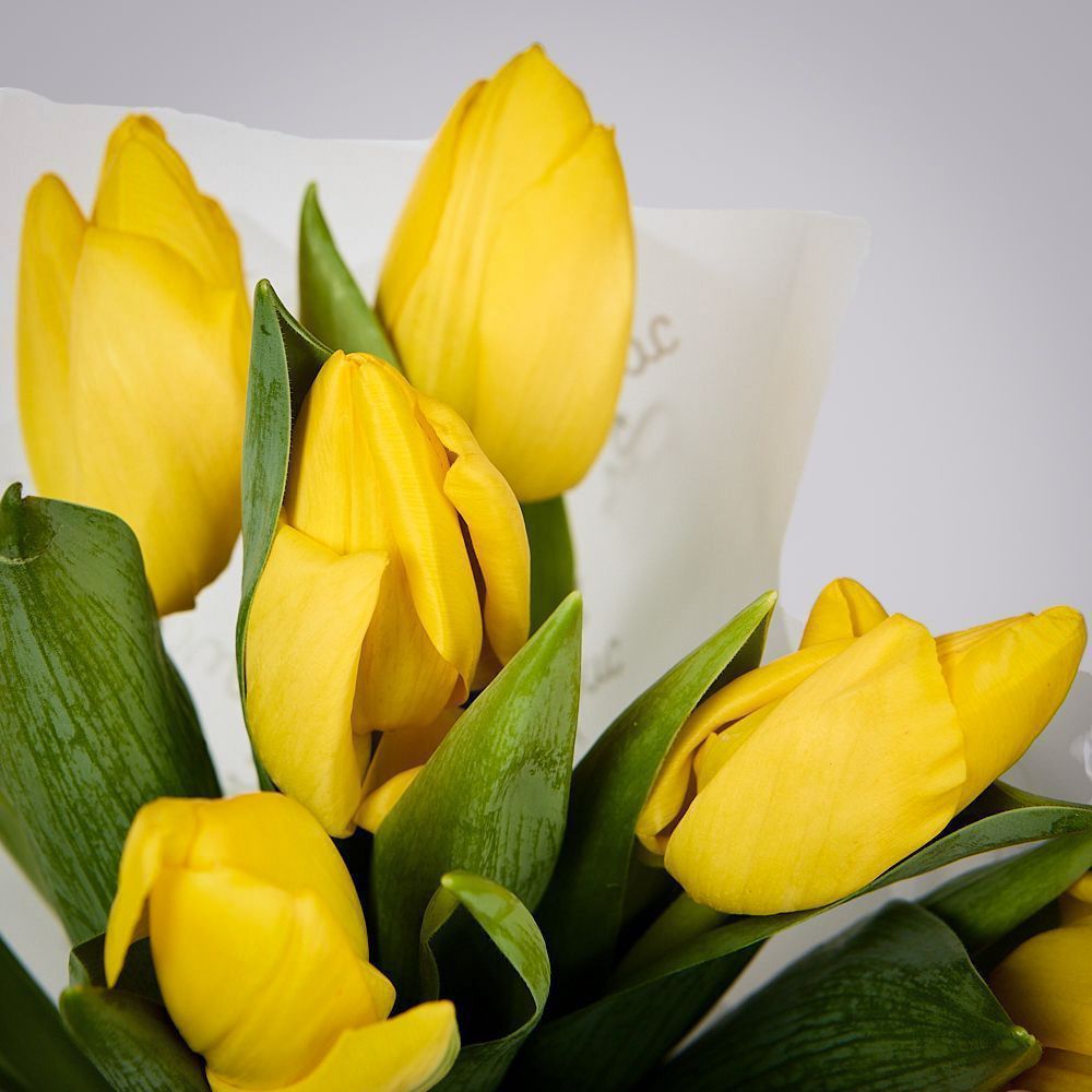 монобукет из 11 желтых тюльпанов в упаковке 