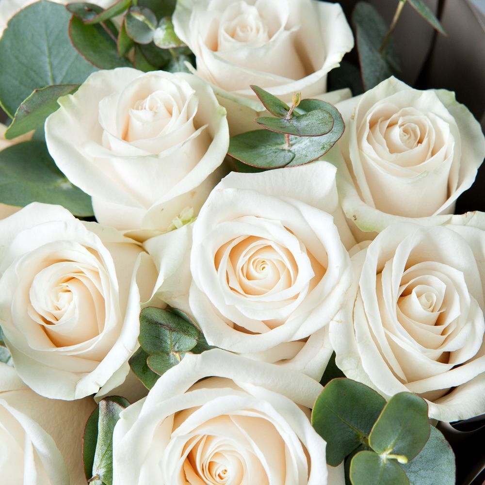 монобукет 11 роз vendela в упаковке  