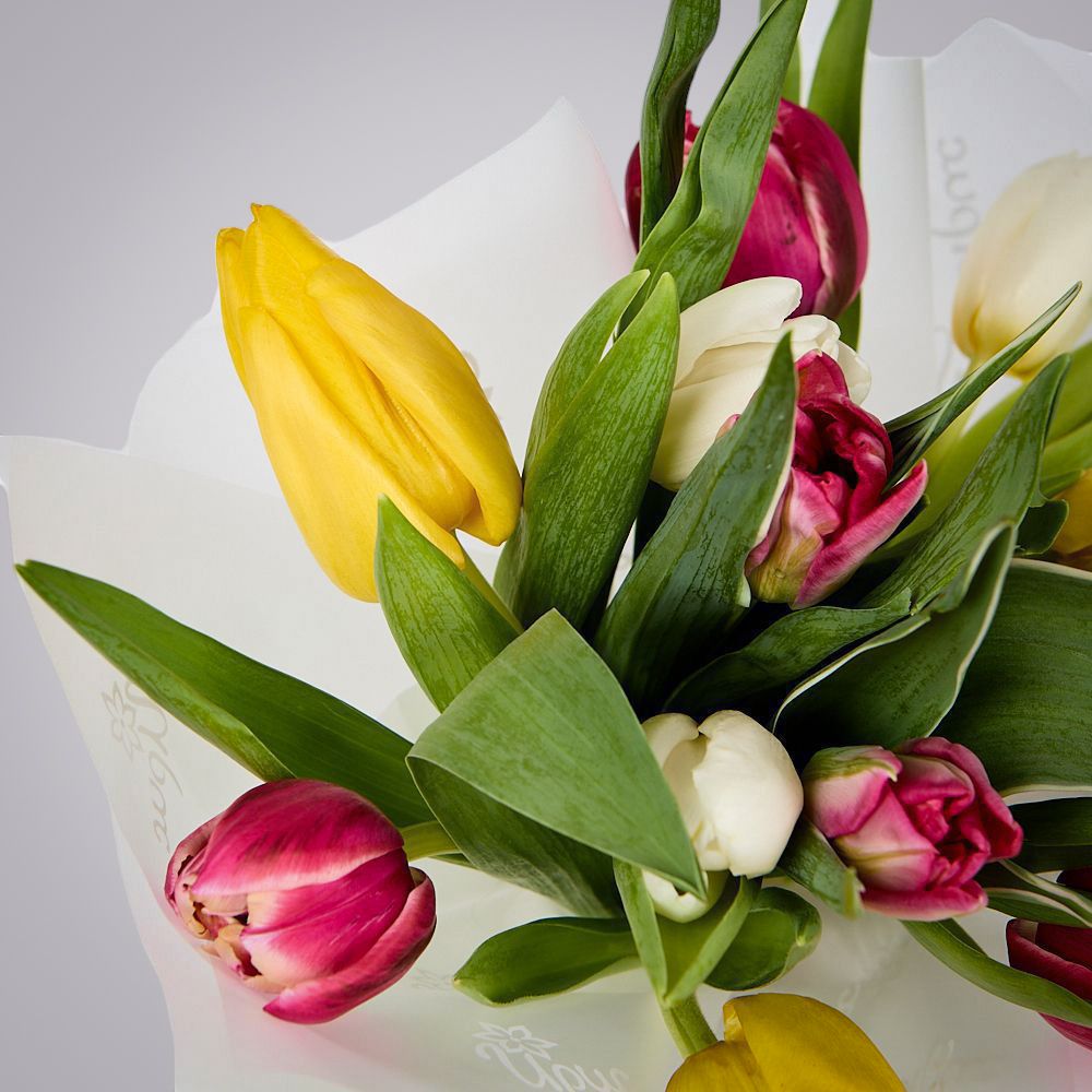 монобукет из 11 тюльпанов микс в упаковке 