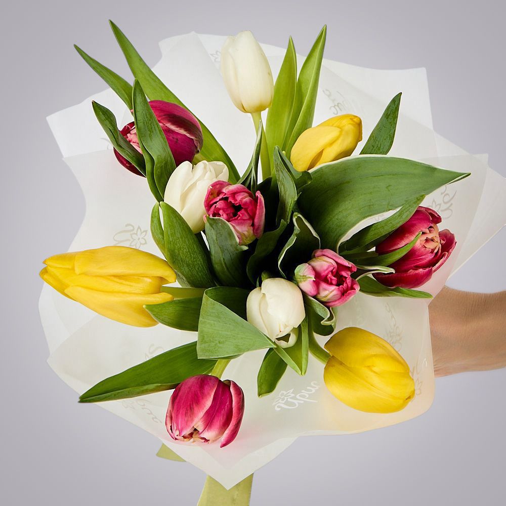 монобукет из 11 тюльпанов микс в упаковке 
