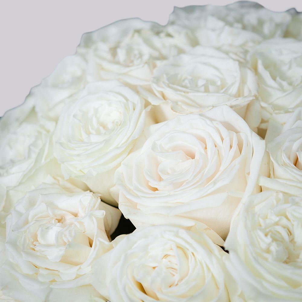 монобукет из 51 пионовидной розы "playa blanca" под ленту 