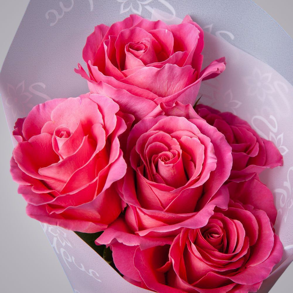 монобукет 5 роз "pink floyd" в упаковке 